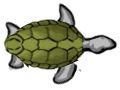 Turtle & Monkey